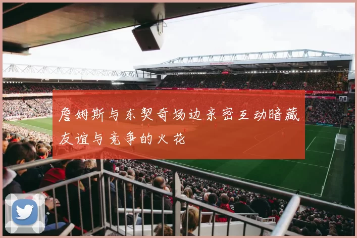 詹姆斯与东契奇场边亲密互动暗藏友谊与竞争的火花